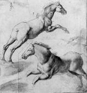 Study Of Two Horses Jumping Study Of Two Horses Jumping