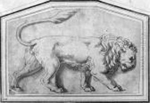 A Lion Moving To The Right