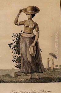 Female Quadroon Slave of Surinam, engraved by Perry, published 1806