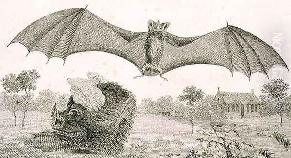 The Vampire or Spectre of Guiana, 1791, plate 58 from Volume II of Narrative of a Five Years Expedition against the Revolted Negroes of Surinam, engraved by Anker Smith 1759-1819 pub. 1806 - view 1