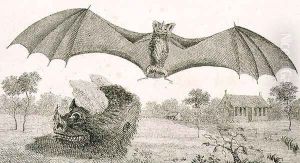 The Vampire or Spectre of Guiana, 1791, plate 58 from Volume II of Narrative of a Five Years Expedition against the Revolted Negroes of Surinam, engraved by Anker Smith 1759-1819 pub. 1806 by John Gabriel Stedman