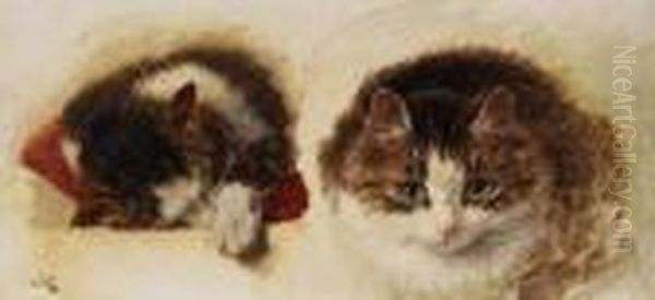 Zwei Katzen - view 1