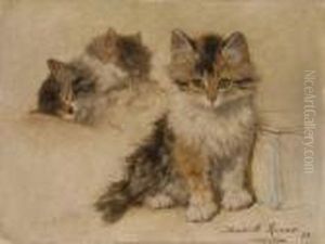 Etude De Chatons by Henriette Ronner-Knip