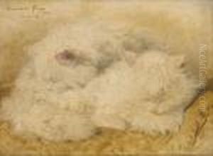 Deux Chatons Blanc Endormis by Henriette Ronner-Knip