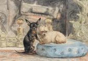 The Dogs Of Marie-henriette, The Queen Ofbelgium by Henriette Ronner-Knip