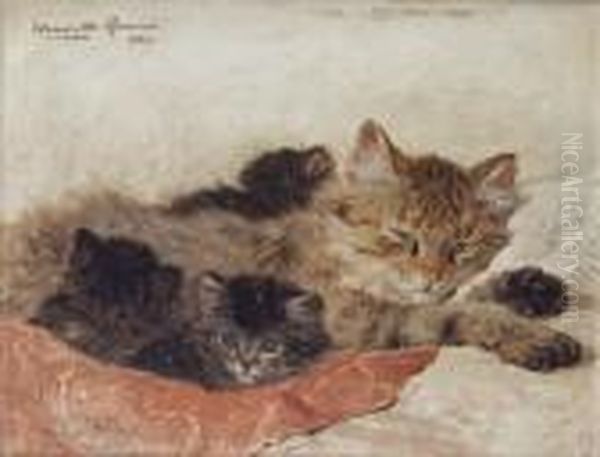 Cat And Kittens - view 1