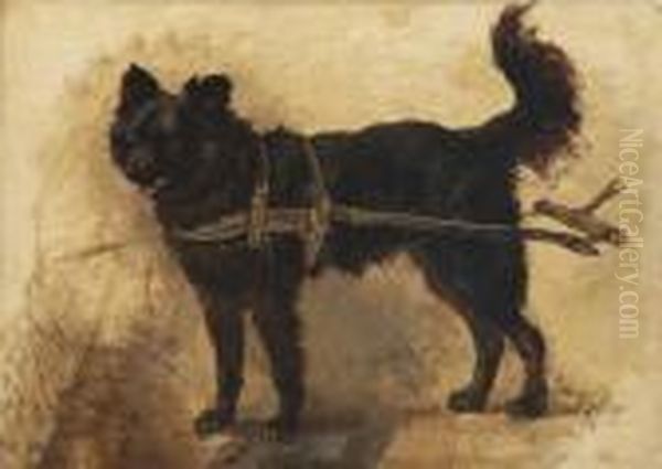 A Dog Cart Drawn By A Black Dutch Decoydog - view 1