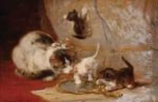 Cat With Three Playing Kittens - view 1