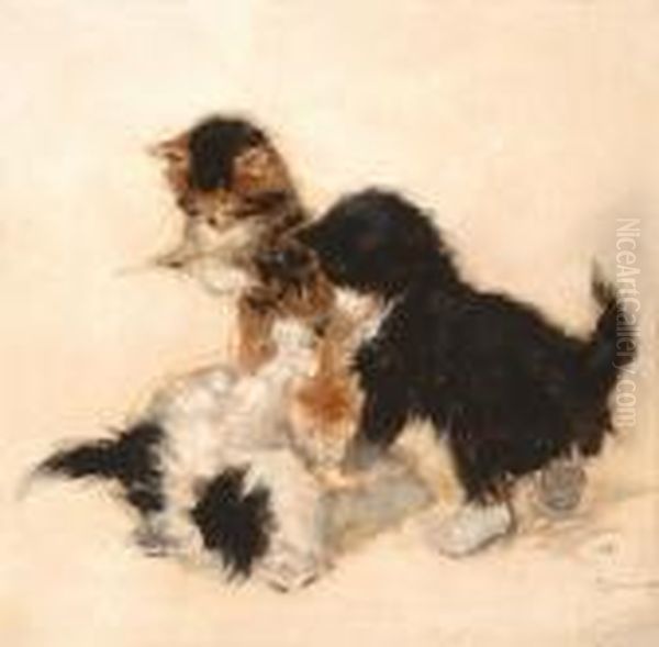 Playing Kittens - view 1