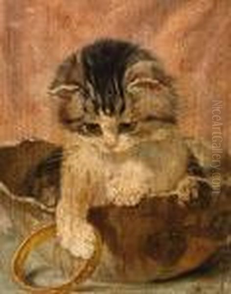 Kitten Playing With A Bracelet - view 1