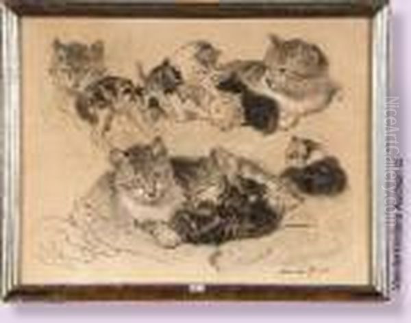 Etude De Chats - view 1