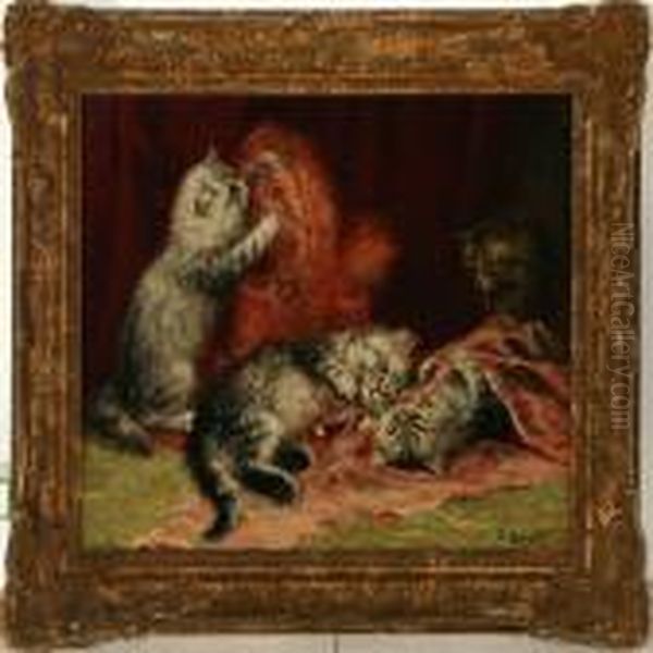 Four Kittens - view 1