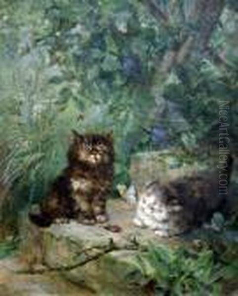 Kittens Hunting Bugs In A Garden - view 1