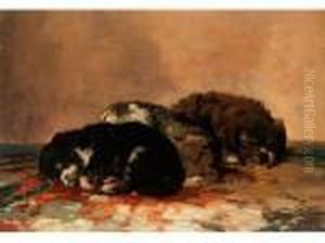 Drei Schlafende Junge Hunde by Henriette Ronner-Knip
