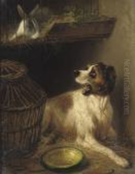 A Dog And A Rabbit - view 1