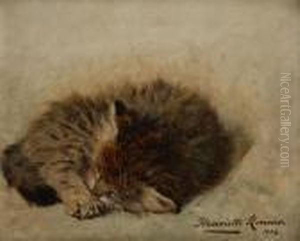 Chaton Endormi - view 1
