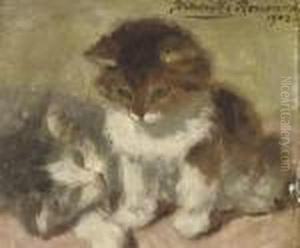 Ginger And Grey - view 1