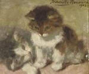 Ginger And Grey