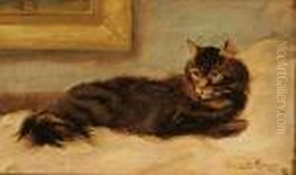 Resting Cat - view 1