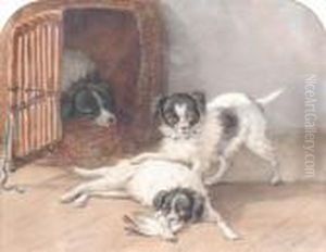 Playful Dogs With A Bird's Wing by Henriette Ronner-Knip