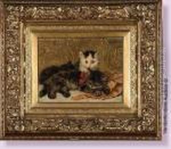 Chatons - view 1