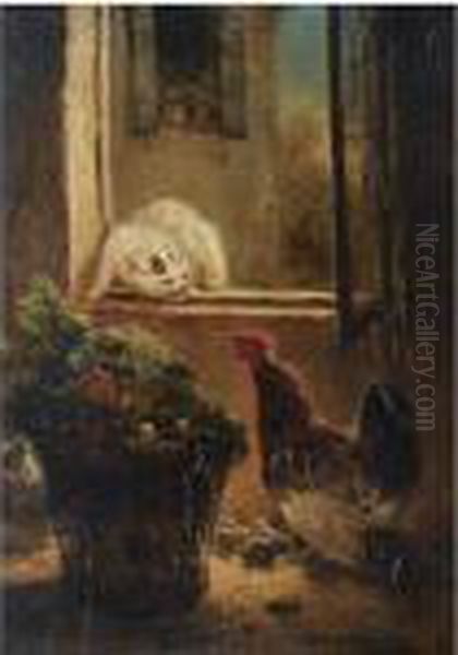 The Intruder - view 1