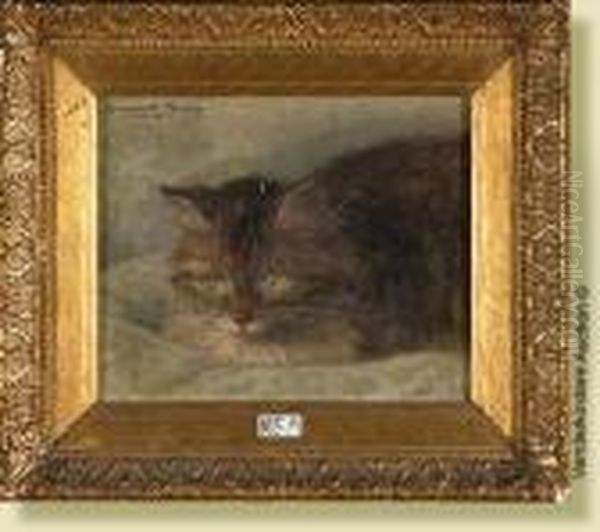 Chat Au Repos - view 1