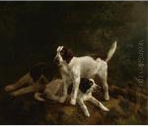 Play Time For Puppies - view 1