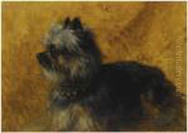 A Yorkshire Terrier - view 1