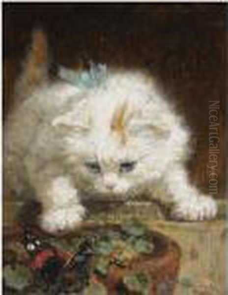 A Kitten Chasing A Butterfly - view 1