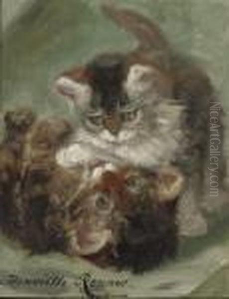Playing Kittens - view 1