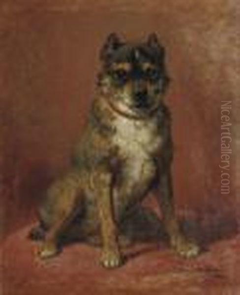 A Feisty Friend - view 1