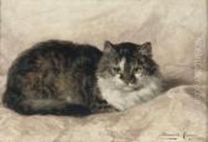 On A Pink Pillow by Henriette Ronner-Knip