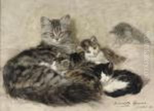 A Sweet Litter