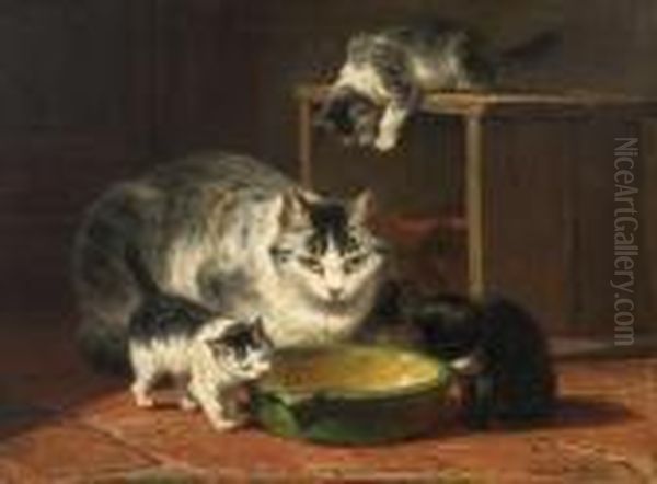 Five Cats Before A Bowl - view 1