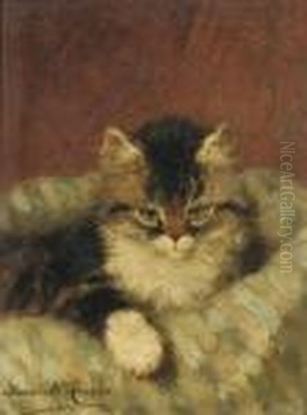 A Kitten On A Blue Striped Pillow - view 1
