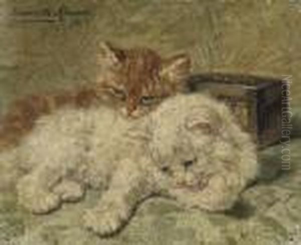 Ginger And White - view 1