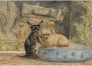 The Dogs Of Marie-henriette, The Queen Of Belgium by Henriette Ronner-Knip