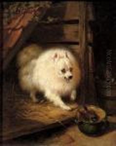 An Unwelcome Intruder