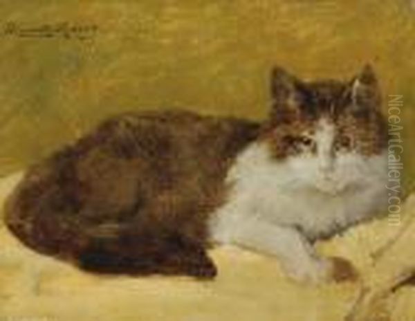 A Reclining Cat - view 1