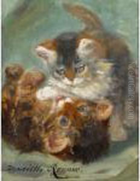 Kittens At Play - view 1