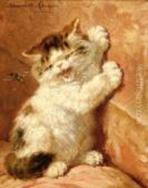 A Kitten With A Wasp - view 1