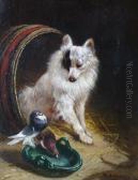 A Feathered Friend. - view 1