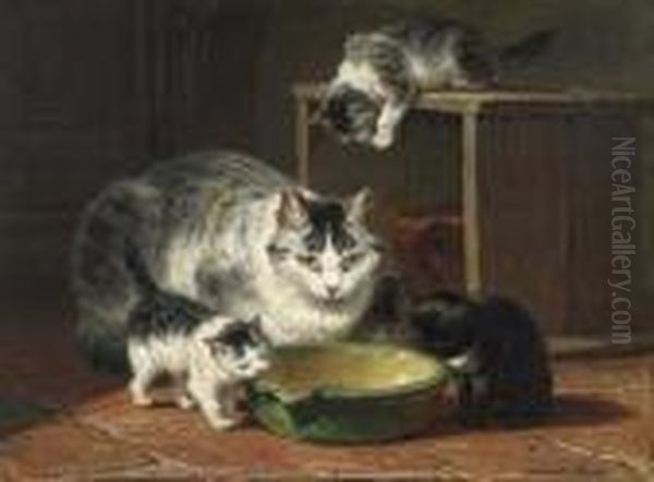 Katzen. - view 1