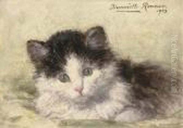 An Inquisitive Look - view 1