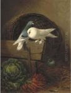 Duiven In Een Stalhoek: Pigeons In A Barn by Henriette Ronner-Knip