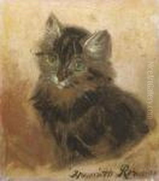 The Little Kitten - view 1