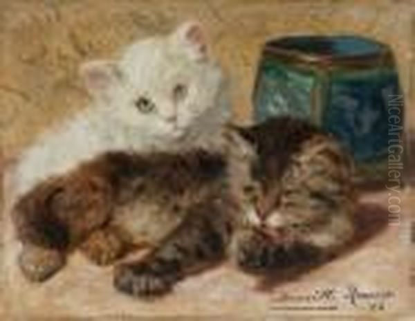 Two Kittens - view 1