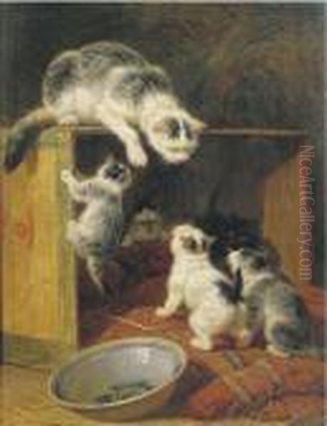 Rebellious Kittens - view 1