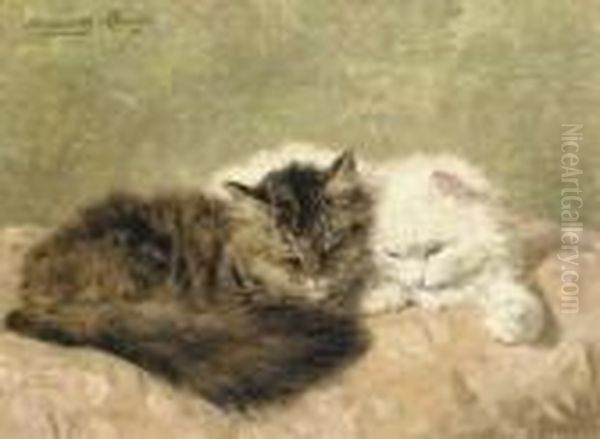 Two Cats On A Pink Pillow - view 1